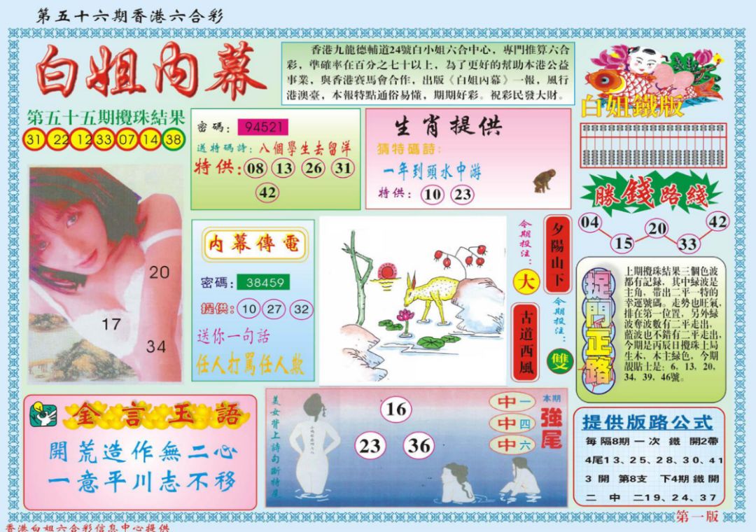 香港特馬資料王中王,全面數(shù)據(jù)解釋定義_15