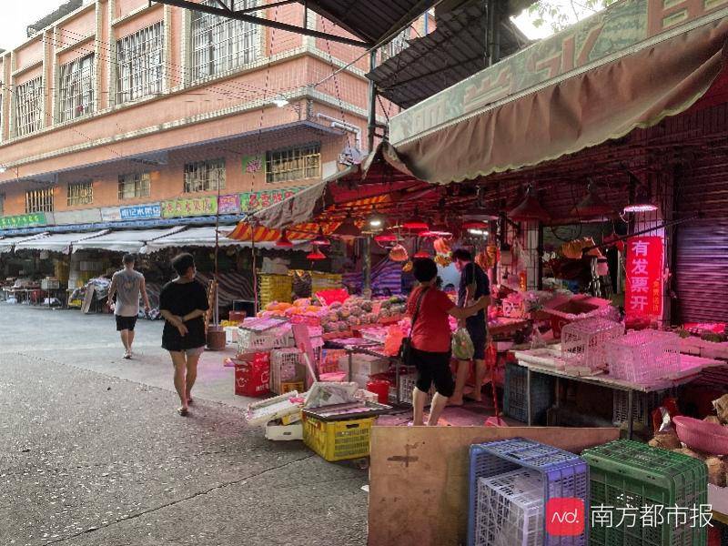 2025年天天開好彩大全,數(shù)據(jù)引導(dǎo)策略解析_24
