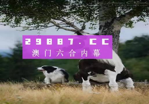 2025新澳門跑狗圖正版免費(fèi),創(chuàng)新解讀執(zhí)行策略_43