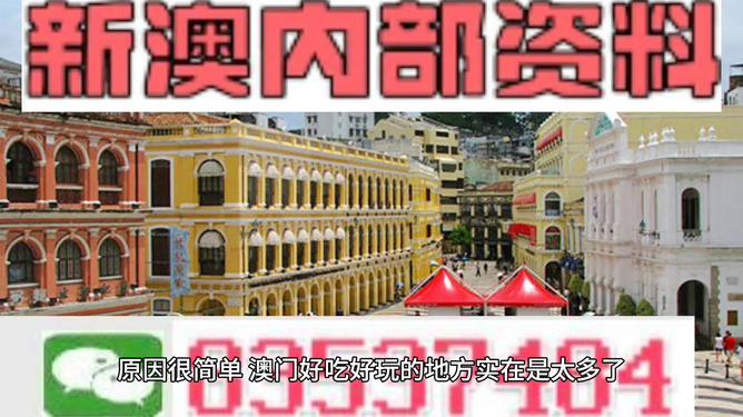 新澳門內(nèi)部碼精準(zhǔn)公開,動(dòng)態(tài)詞語(yǔ)解釋落實(shí)_35