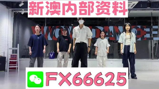 新澳天天彩免費(fèi)資料大全特色解析，新澳天天彩免費(fèi)資料大全深度解析與特色揭秘