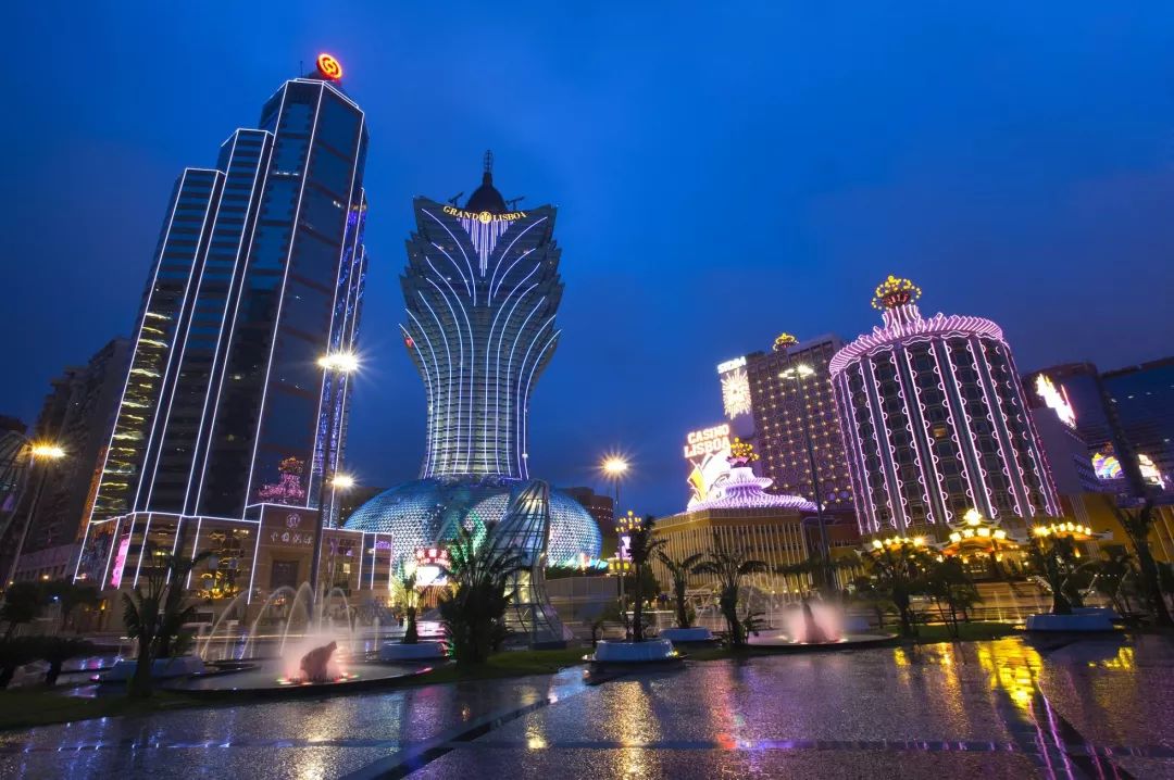 澳門一碼一肖一待一中廣東，澳門彩票秘密揭曉，一碼一肖一待一中廣東揭曉！