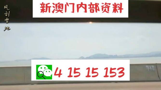 新澳歷史生肖走勢圖,動態(tài)詞匯解析_40