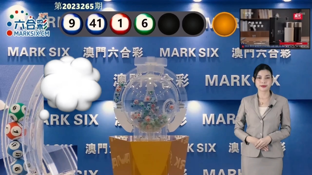2025澳門天天六開彩查詢指南，澳門天天六開彩查詢指南 2025版