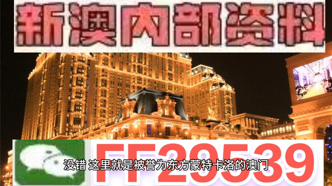 澳門今晚特馬大揭秘，探尋幸運之選的神秘面紗，澳門特馬揭秘之夜，揭開幸運之選的神秘面紗