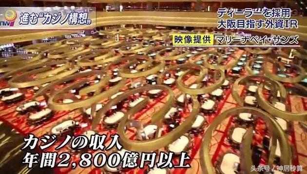 新澳門彩出碼綜合走勢圖表大全，一網(wǎng)打盡最新資訊，澳門彩最新出碼走勢圖表與資訊匯總