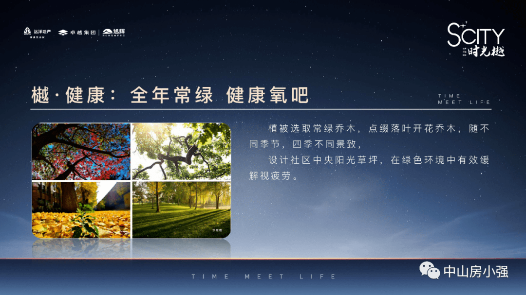 新澳門平特一肖100%最新,最新核心解答落實_46