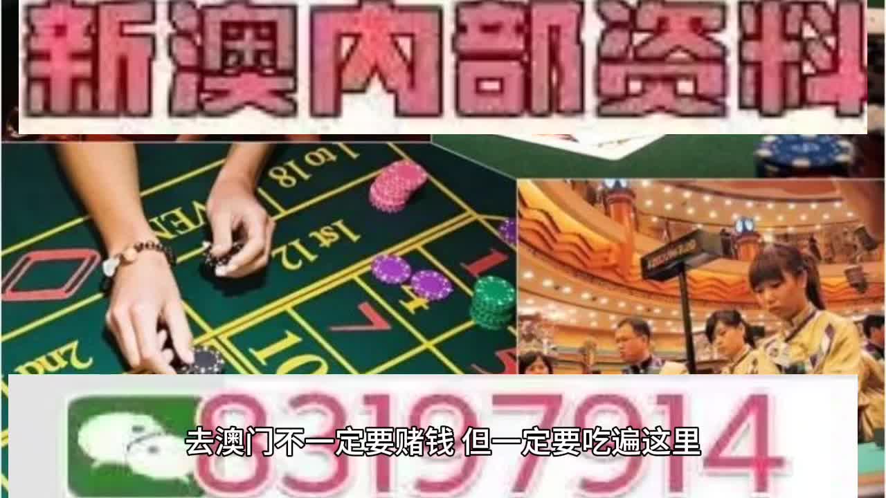 2025新澳門天天免費精準大全,靈活操作方案_19