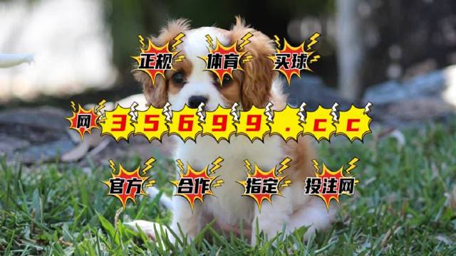 2025澳門特馬今期開獎結(jié)果查詢,實(shí)地評估數(shù)據(jù)方案_11