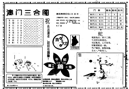 揭秘24碼中特王中王與49中的奧秘，揭秘?cái)?shù)字世界中的秘密，探究24碼與49中的獨(dú)特奧秘