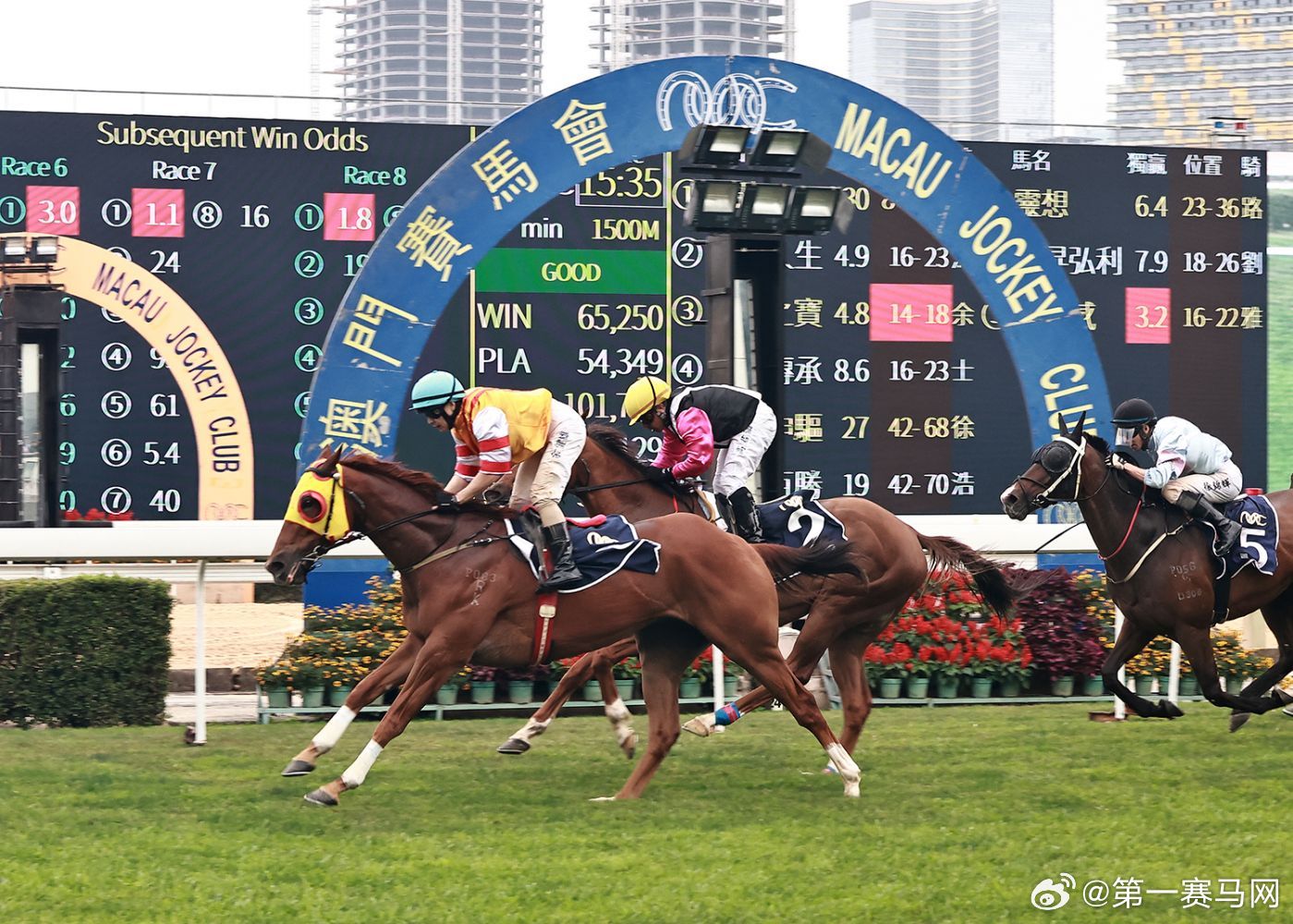 今天澳門出什么特馬，澳門特馬今日開獎(jiǎng)結(jié)果
