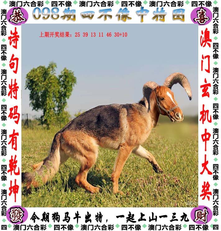 新澳2025今晚開獎資料四不像,確保問題說明_11