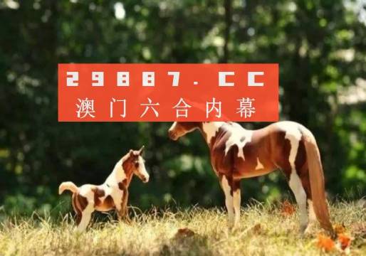 新澳今晚平特一肖,真實解析數(shù)據(jù)_29
