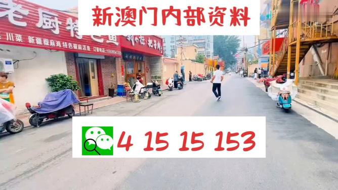 新澳天天開好彩資料大全,快速響應(yīng)執(zhí)行策略_17