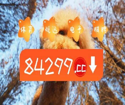 澳門天天開好彩正版掛牌—探索幸運(yùn)之都的奧秘，澳門天天開好彩正版掛牌，揭秘幸運(yùn)之都的魅力