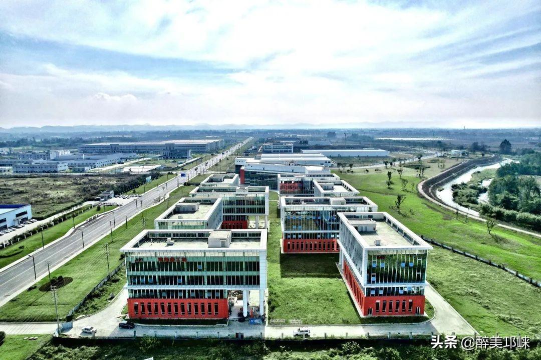2025全年資料免費大全，2025全年資料大全免費獲取
