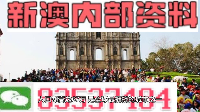 澳門正版免費(fèi)全年資料大全，一網(wǎng)打盡所有你需要的信息，澳門正版全年資料大全，一站式獲取所有必備信息