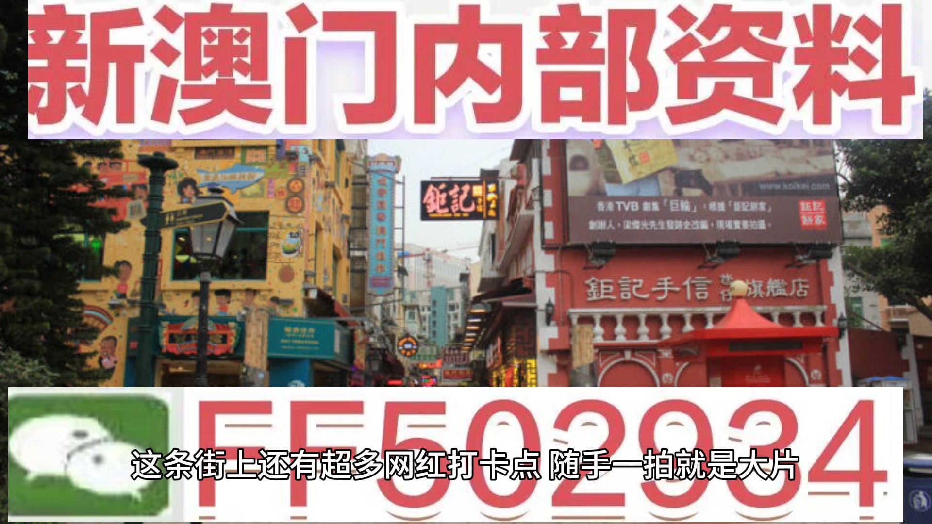 探索澳門今晚特碼世界，揭秘494949的魅力，澳門特碼世界揭秘之夜，探尋494949的魅力
