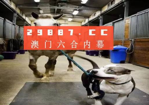 澳門一肖一碼一必中，同舟共濟(jì)揚(yáng)帆前進(jìn)，澳門一肖一碼精準(zhǔn)預(yù)測(cè)，同舟共濟(jì)共赴未來