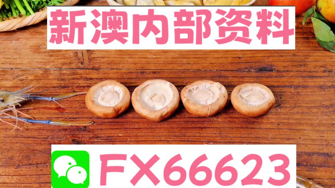 新澳正版資料免費提供，助力學習成長，新澳正版資料助力學習成長之路