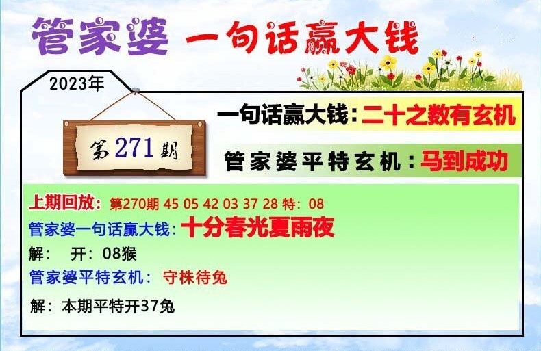 揭秘202管家婆一肖一碼，解碼神秘?cái)?shù)字的魅力，揭秘神秘?cái)?shù)字魅力，解碼管家婆一肖一碼的秘密