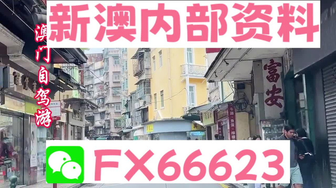新澳精選資料免費(fèi)提供，新澳精選資料免費(fèi)分享
