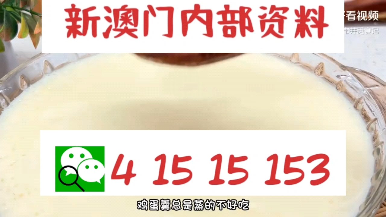 新澳門中特網(wǎng)中特馬—探索現(xiàn)代博彩文化的新領(lǐng)域，現(xiàn)代博彩文化新領(lǐng)域，新澳門中特網(wǎng)中特馬探索之旅