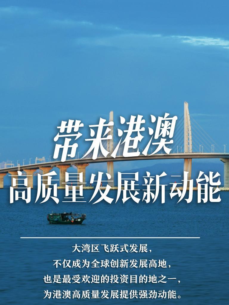 探索未來之門，2025新澳門精準(zhǔn)免費(fèi)大全，探索未來之門，2025新澳門精準(zhǔn)免費(fèi)大全概覽