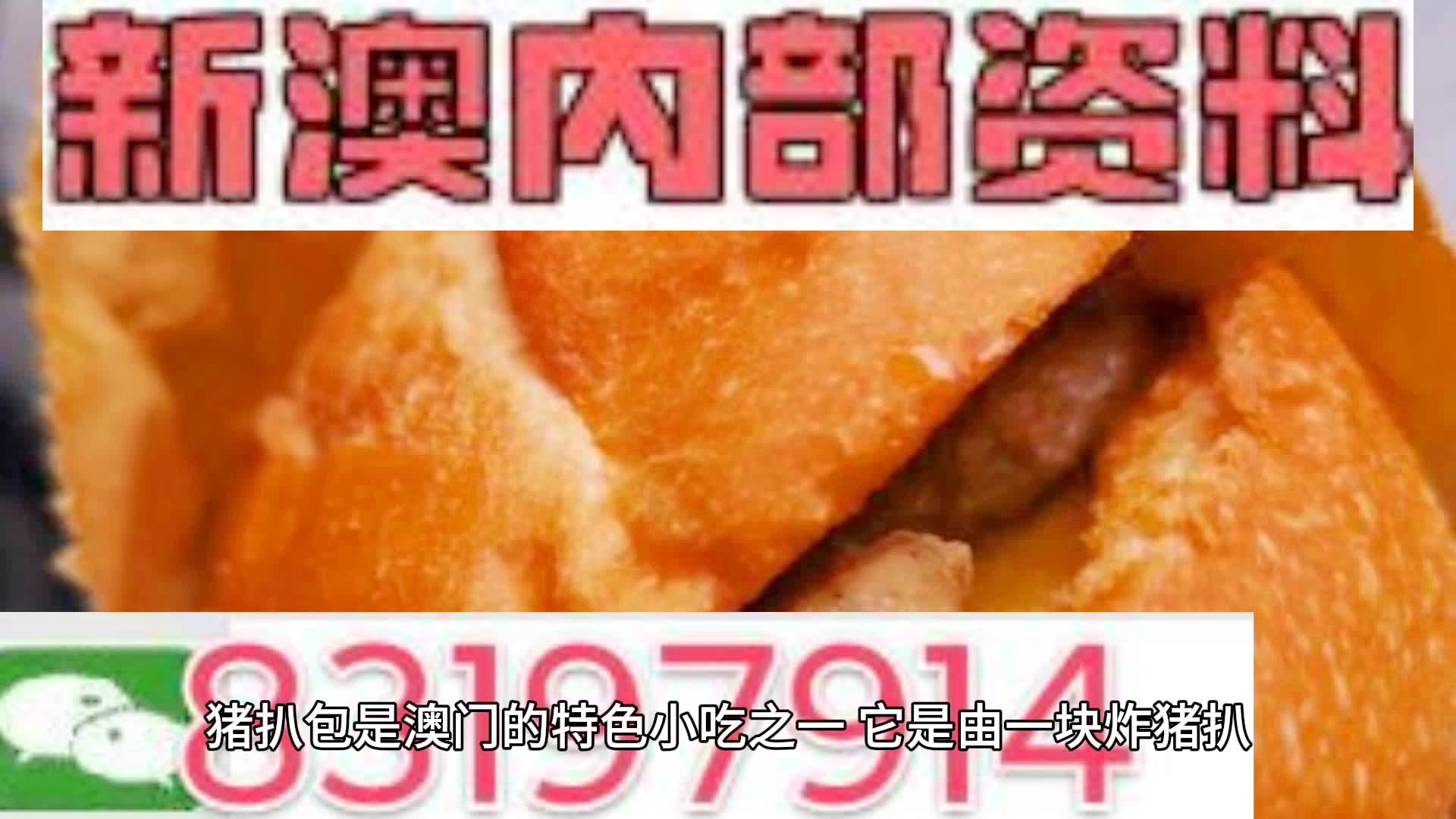 2025新澳精準(zhǔn)資料大全，2025新澳精準(zhǔn)資料大全手冊