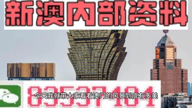澳門精準資料免費公開，探索未來的藍圖，澳門未來藍圖揭秘，精準資料免費公開