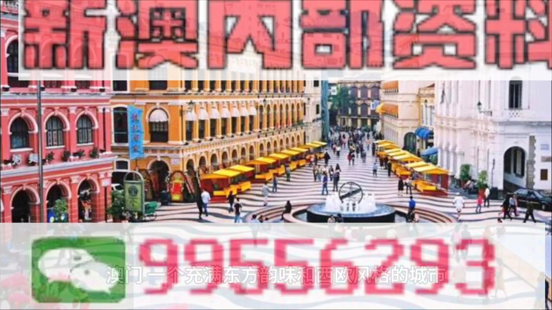 新澳門精準(zhǔn)四肖期期準(zhǔn)，澳門精準(zhǔn)四肖期期預(yù)測