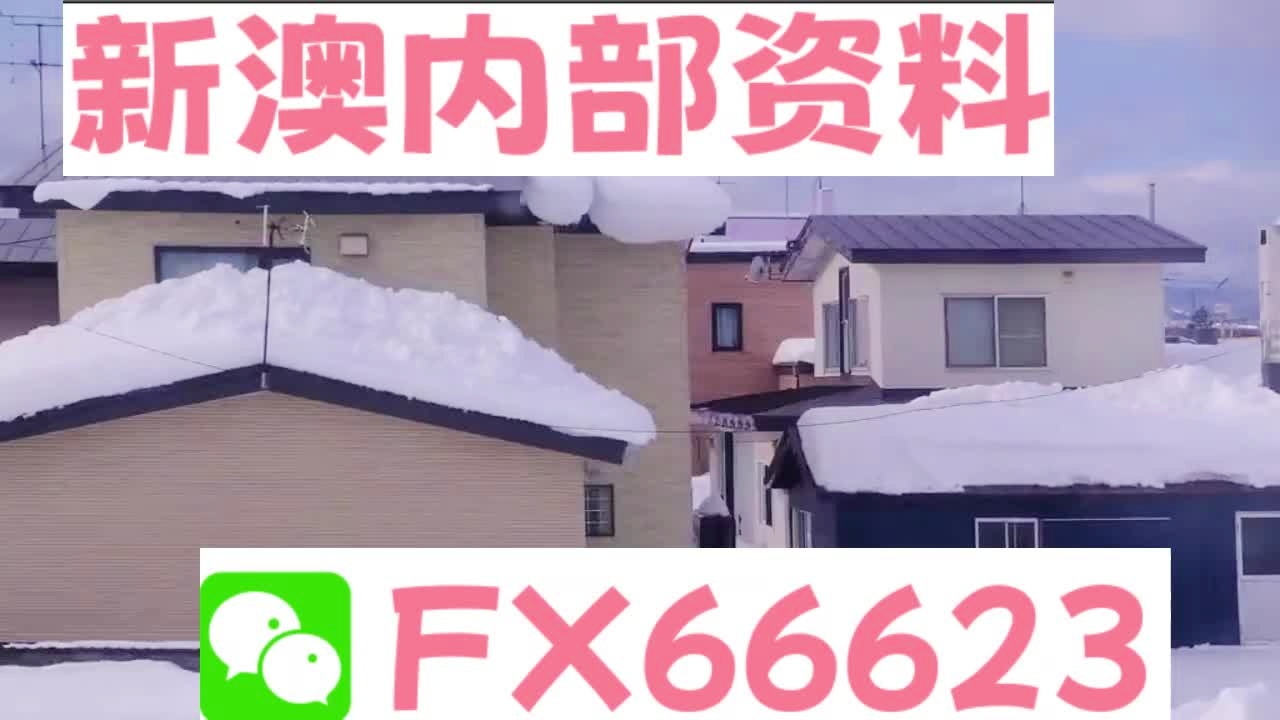 2025新澳精準(zhǔn)正版資料大全