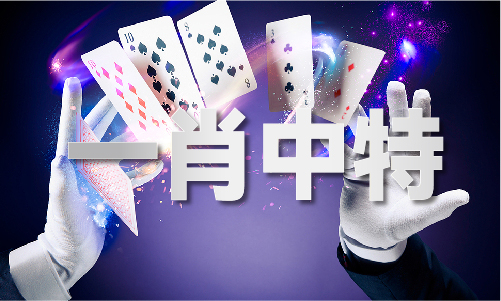 新澳門歷史記錄查詢表最新版，澳門歷史記錄查詢表最新版發(fā)布