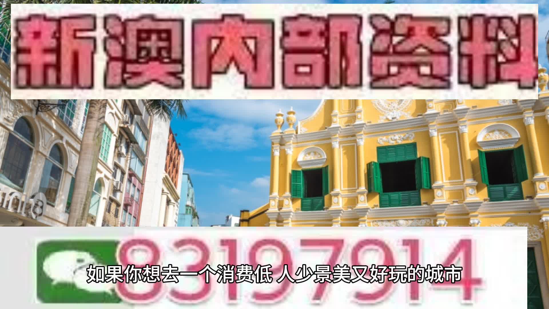 新澳2025年一肖一馬中特，新澳2025年一肖一馬中特預(yù)測(cè)與解析