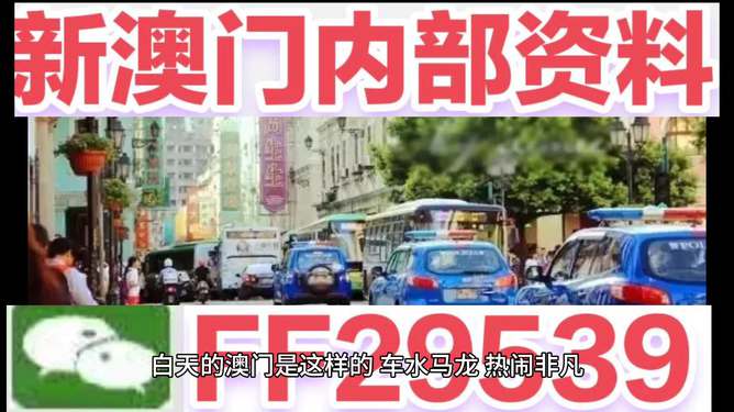 2025今晚澳門開獎結(jié)果，2025年澳門今晚開獎結(jié)果揭曉