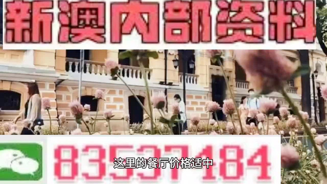 澳門最精準(zhǔn)免費資料大全旅游團，一站式解鎖你的澳門之旅，澳門旅游團一站式攻略，精準(zhǔn)免費資料大全，解鎖你的澳門之旅