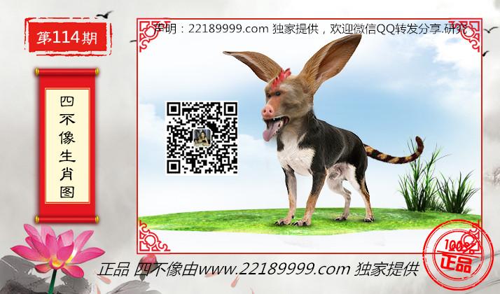 四不像正版資料查看，四不像正版資料詳查