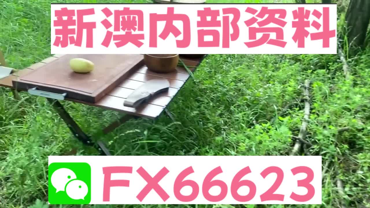 2025新澳精準資料大全解釋，2025新澳精準資料大全詳解