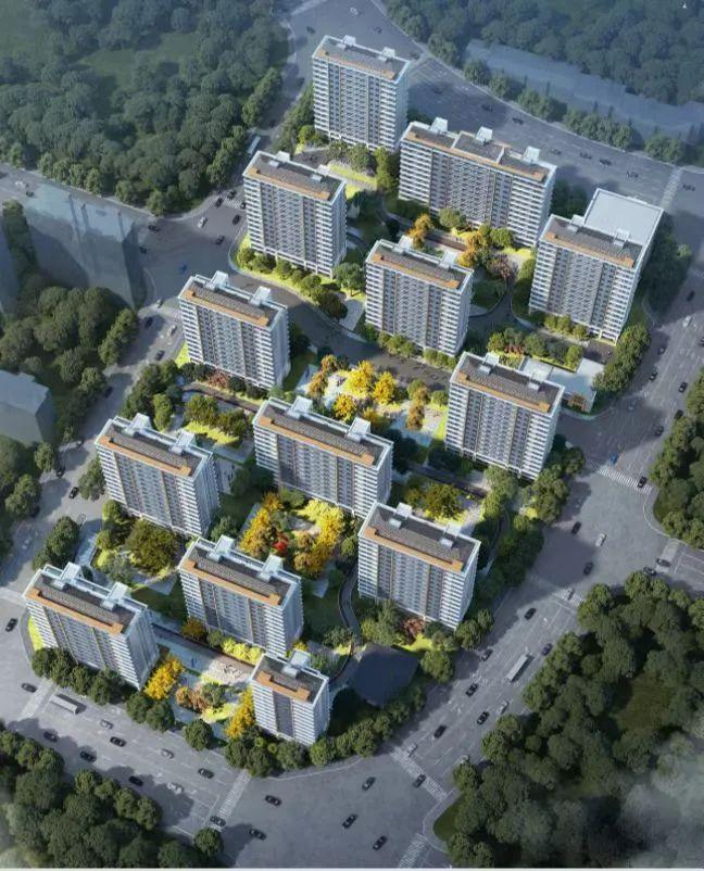 香港資料正版大全2025，專注于智能生態(tài)發(fā)展的獨特視角，智能生態(tài)發(fā)展獨特視角，香港資料正版大全2025